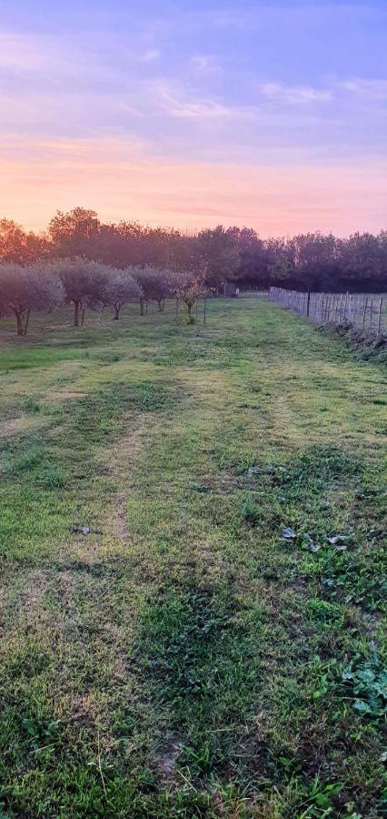 Les Bonbonnettes Panzió Le Cailar Kültér fotó