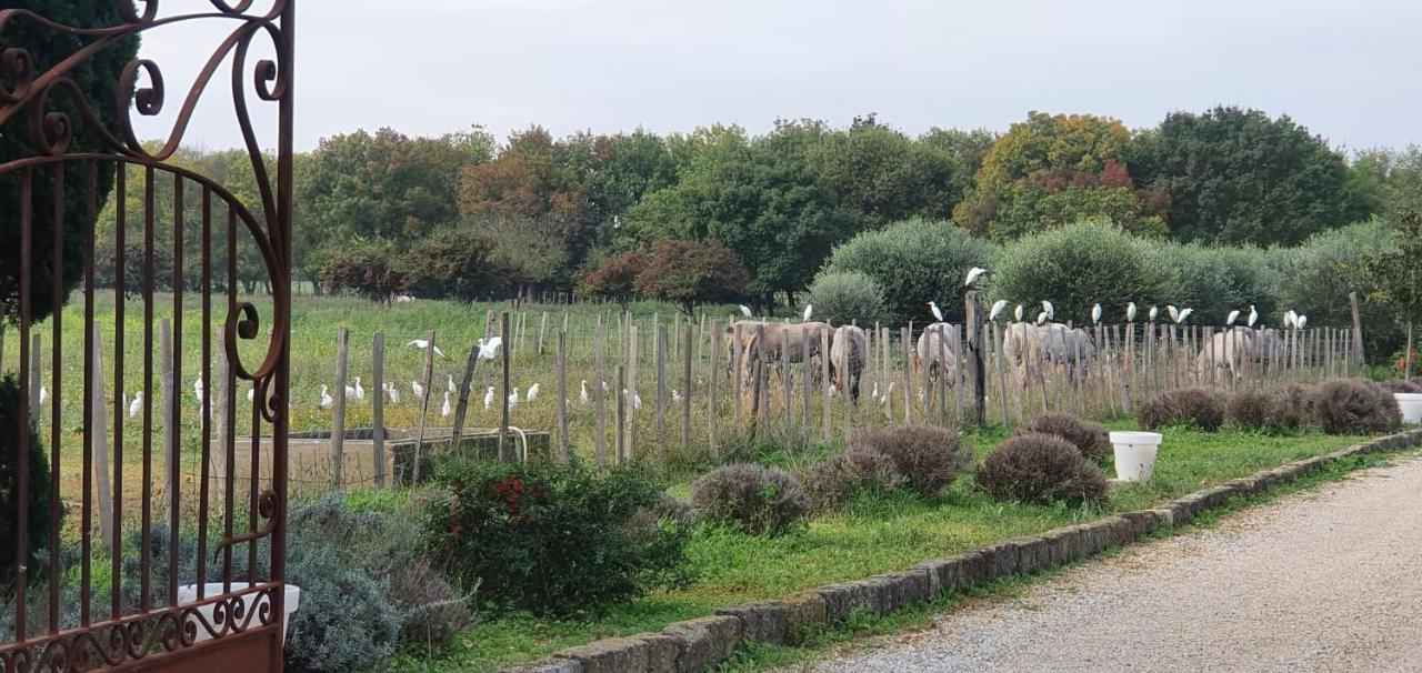 Les Bonbonnettes Panzió Le Cailar Kültér fotó
